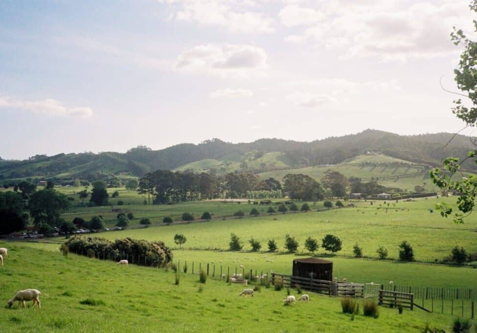 FarmToETSForestryConversion
